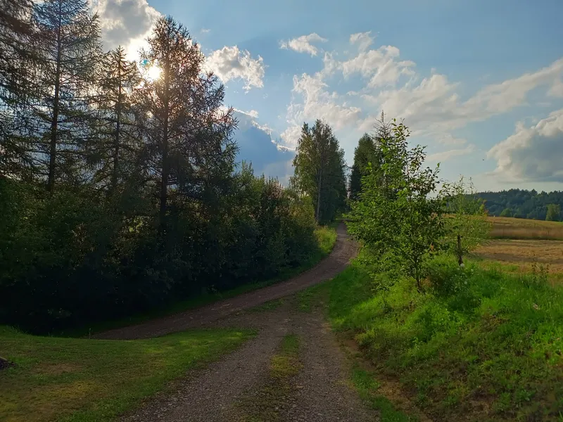 droga prowadząca do domków Letni Poranek