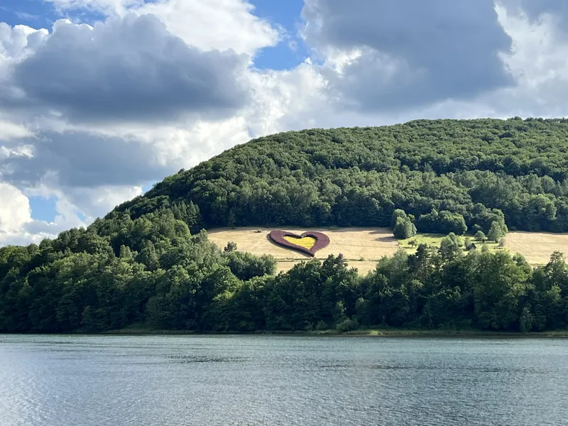 widok na Bieszczadzkie serce z kwiatów nad Soliną