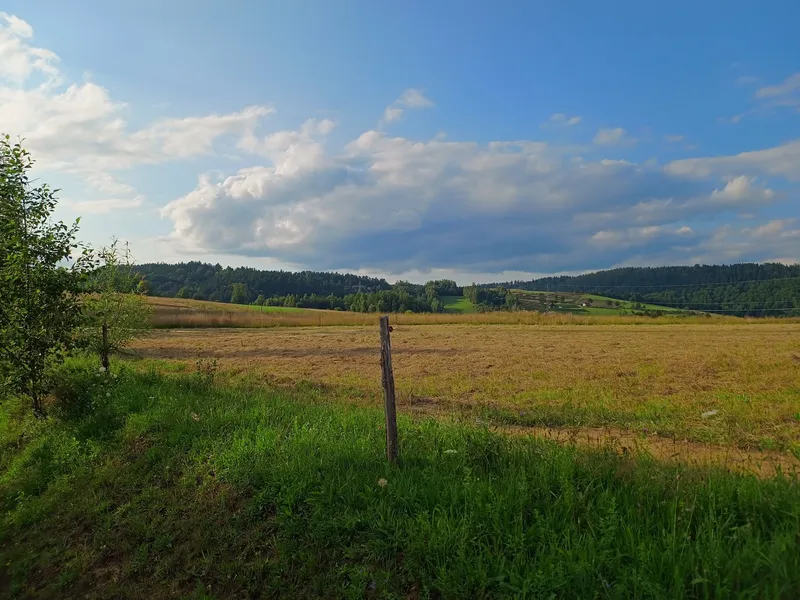 widok na góry i polany przed domkami Letni Poranek