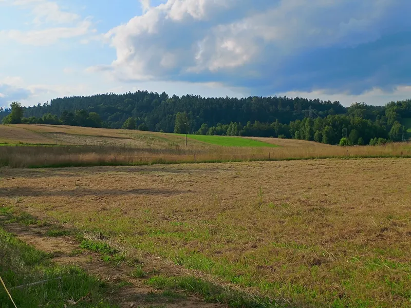 widoki z tarasu domku na lasy, góry i polany